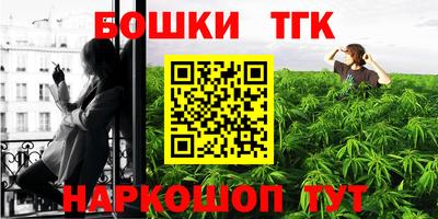 МДПВ Пенза