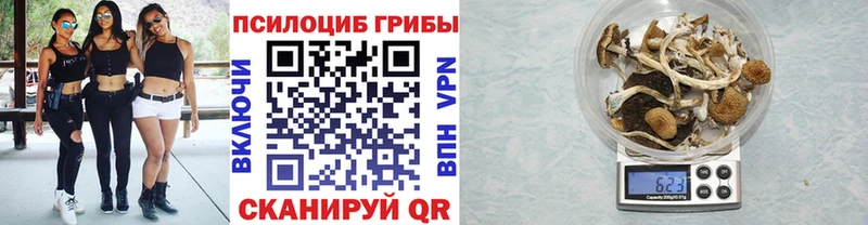закладка ОМГ ОМГ зеркало Псилоцибиновые грибы мицелий Югорск