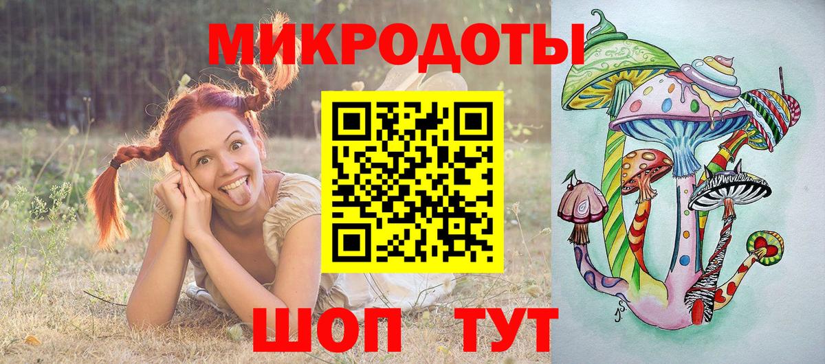 Галлюциногенные грибы Psilocybine cubensis Югорск
