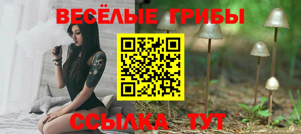 Псилоцибиновые грибы Cubensis  Вход с VPN  Югорск  Галлюциногенные грибы мицелий 